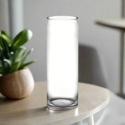 Ravion Tall Clear Glass Cylinder Vase