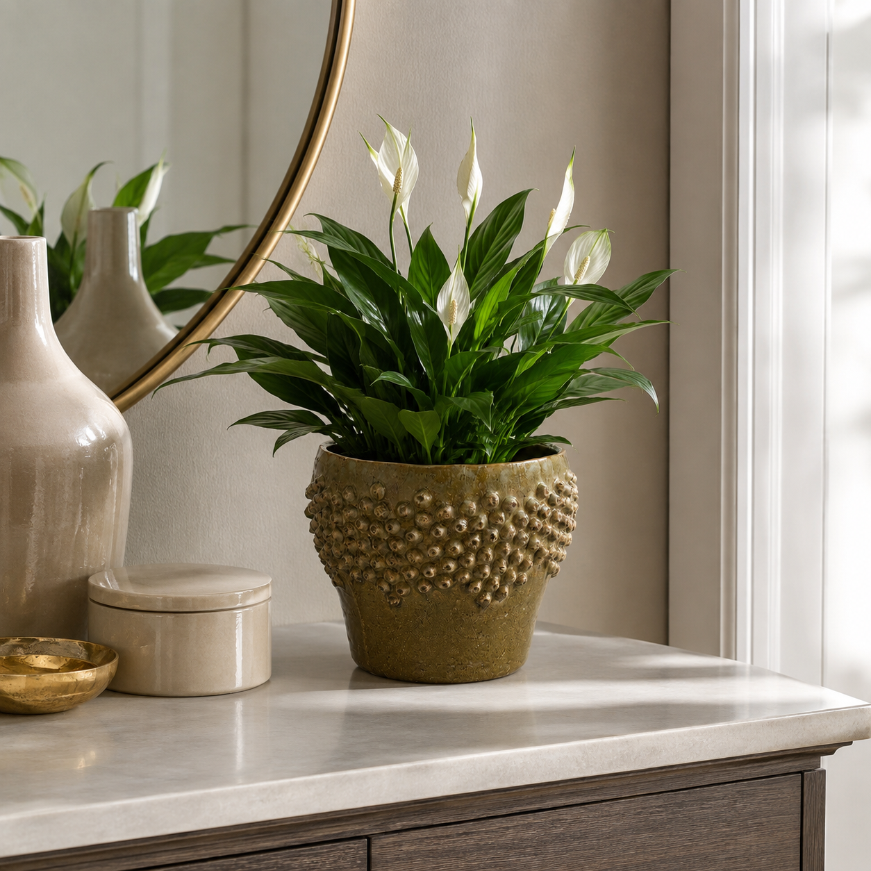 Carm Raised Bump Ceramic Pot