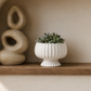 Pavin Off-White Matte Compote Planters