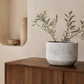 Cordelia Modern Cement Cylinder Planter