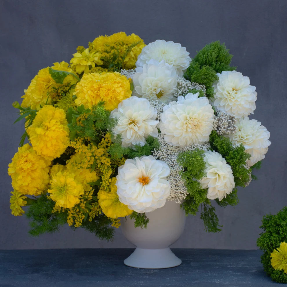Zavine Matte White Pedestal Planter