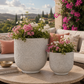 Irina Cylinder Planters with Pedestal Base (Set of 2)