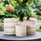 Floris Distressed Ivory Planter Set (Set of 3)