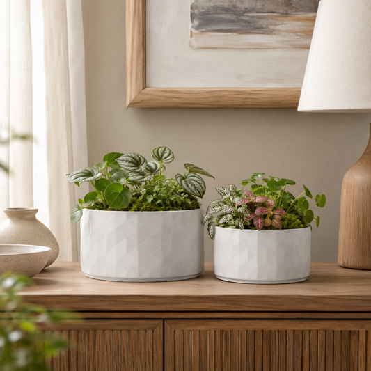 Liam Geometric Ceramic Planters (Set of 2)
