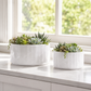 Liam Geometric Ceramic Planters (Set of 2)