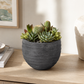 Lottie Blackish Cement Planter Pot