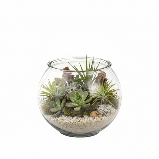 Crystelle Clear Glass Bowl