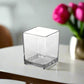 Lizze Clear Glass Cube Vase-Urban Trends Collection-Clear-Urban Trends Collection