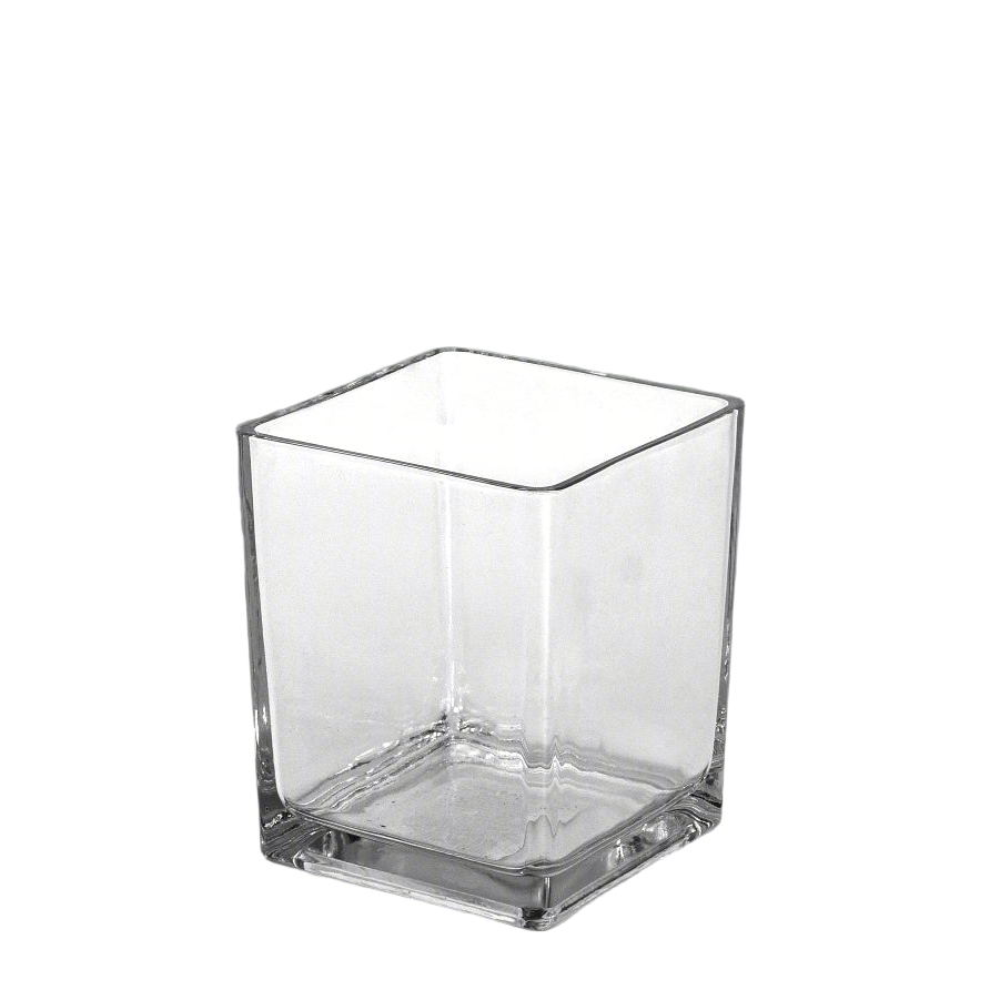 Lizze Clear Glass Cube Vase