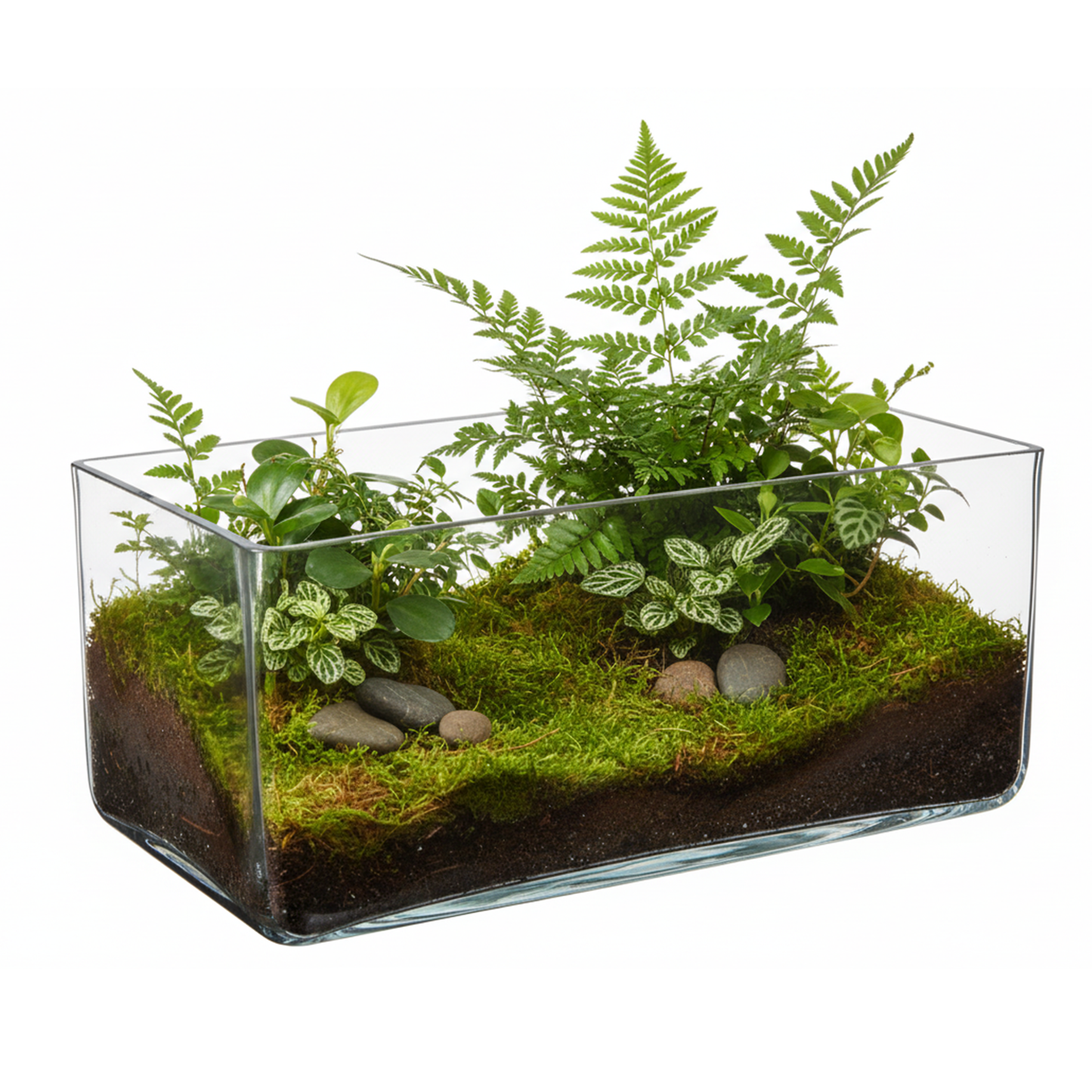 Elaris Rectangular Clear Glass Trough