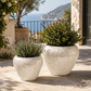 Raya Capri Shell Round Planter Set (Set of 2)