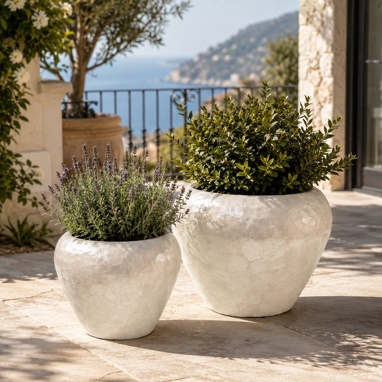 Raya Capri Shell Round Planter Set (Set of 2)