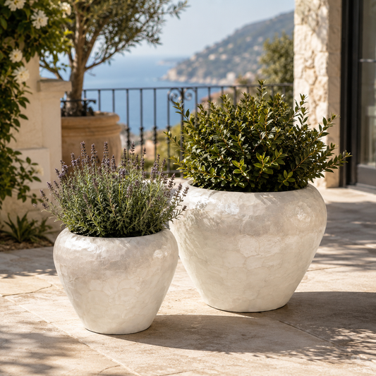 Raya Capri Shell Round Planter Set (Set of 2)