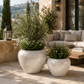 Raya Capri Shell Round Planter Set (Set of 2)