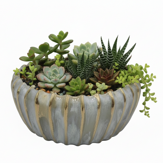 Shams Ribbed Ceramic Bowl