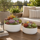 Stelle Textured Ceramic Bowl Planter Set (Set of 2)