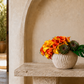 Rhett Rippled Ceramic Planter