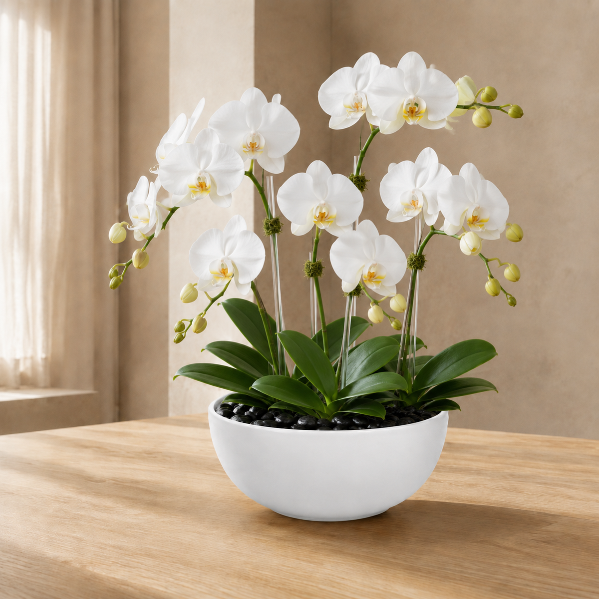 Ellis Dolomite Bowl in Matte White