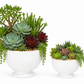 Kerry Ceramic White Pedestal Planter
