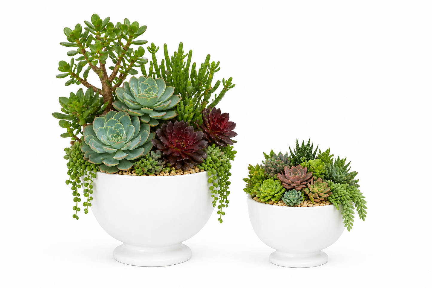 Kerry Ceramic White Pedestal Planter