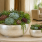 Hazen Capri Shell Round Planter Set (Set of 2)