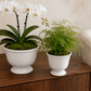 Zavine Matte White Pedestal Planter