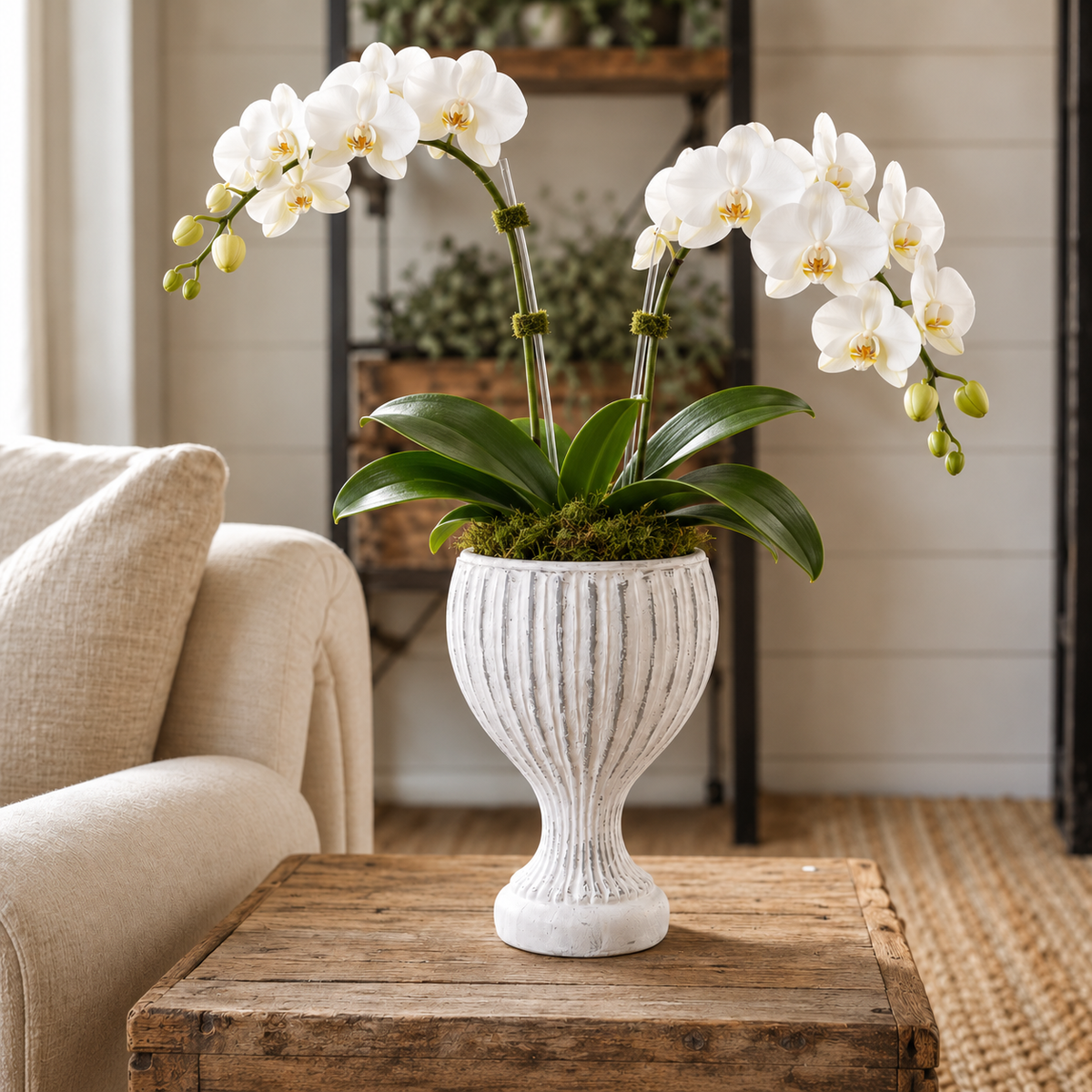 A white faux-marble ribbed ceramic planter holding a white Phalaenopsis orchid with green leaves and moss, displayed on a rustic wooden table in a cozy living room setting.
