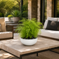 Ellis Dolomite Bowl in Matte White