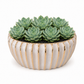 Shams Ribbed Ceramic Bowl