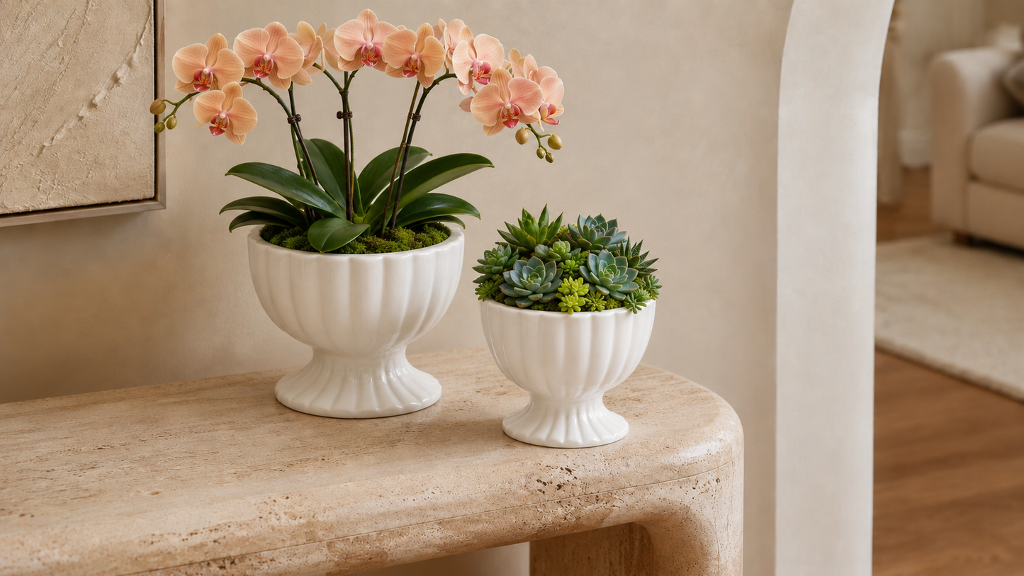 Grellen Rippled Off-White Compote Planters