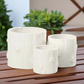 Danica Ceramic Round Planter Set (Set of 3)