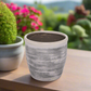 Tansy Ceramic Decor Round Planter