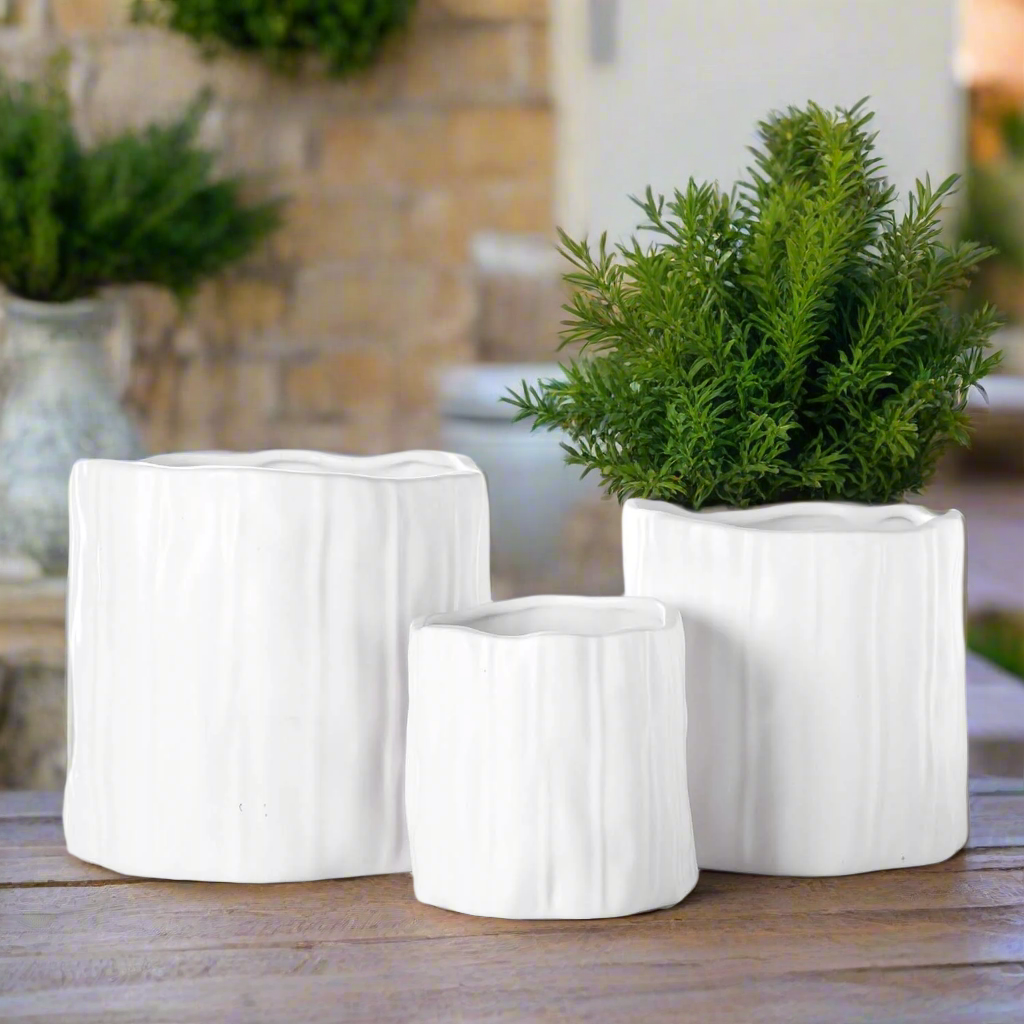Darya Ceramic Round Planter Set (Set of 3)