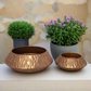 Fayra Metal Planter Set (Set of 2)