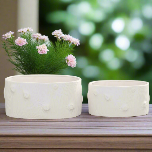 Potria Ceramic Oval Planter Set (Set of 2)