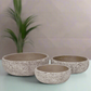 Orva Moss Green Cement Flower Pot Set (Set of 3)