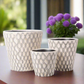 Valora Oval Pattern Ceramic Planter Set (Set of 3)