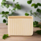 Bridget Cement Tall Rectangular Pot