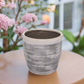 Tansy Ceramic Decor Round Planter