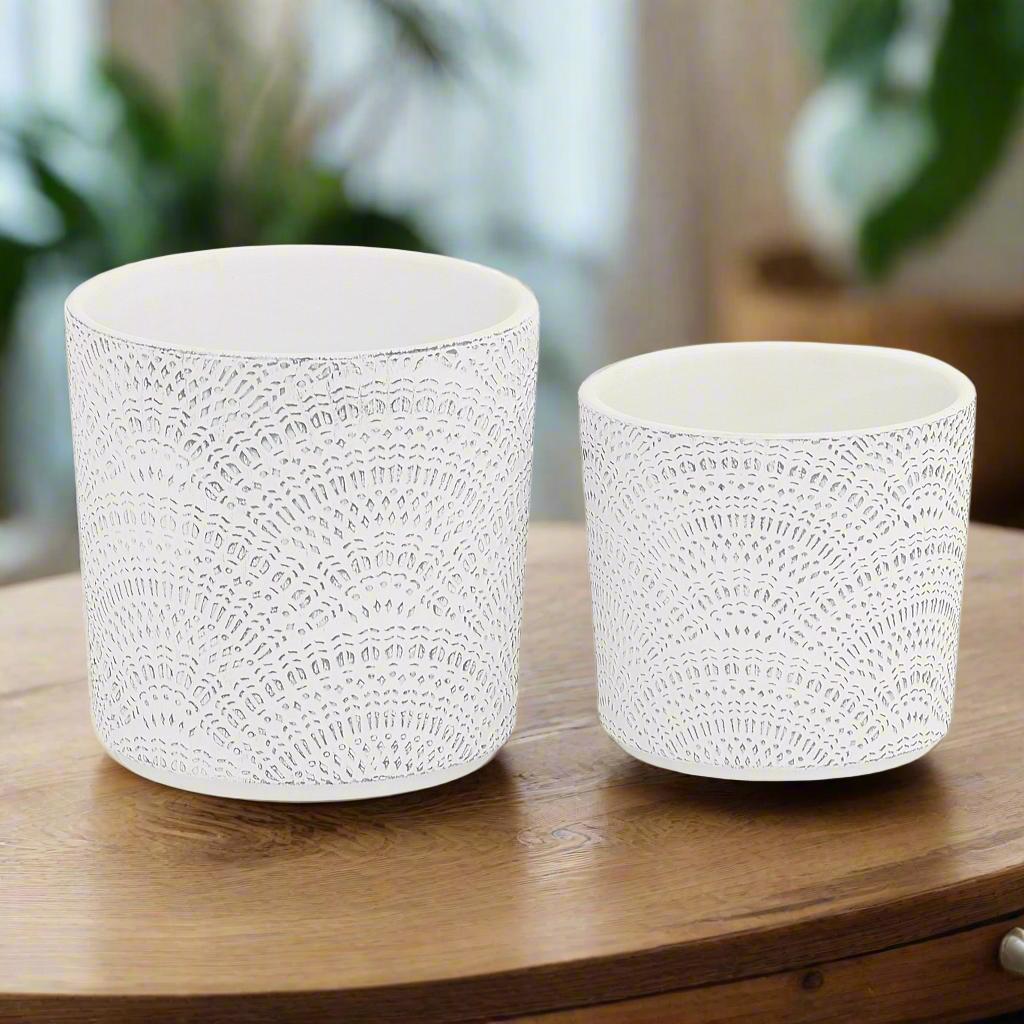 Selva Gray Cement Shell Texture Planter Set (Set of 2)