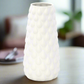 Nicolette Ceramic Round Vase