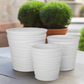 Lazven Embossed Vector Planter Set (Set of 3)