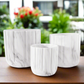 Davina Ceramic Round Planter Set (Set of 3)