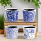 Celestique Ceramic Abstract Pot (Set of 4)