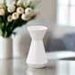Jenipher Ceramic Round Vase with Trumpet Mouth