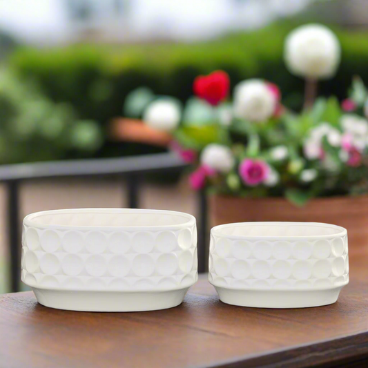 Yvessa Dotted Oval Ceramic Planter Set (Set of 2)