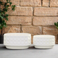 Yvessa Dotted Oval Ceramic Planter Set (Set of 2)