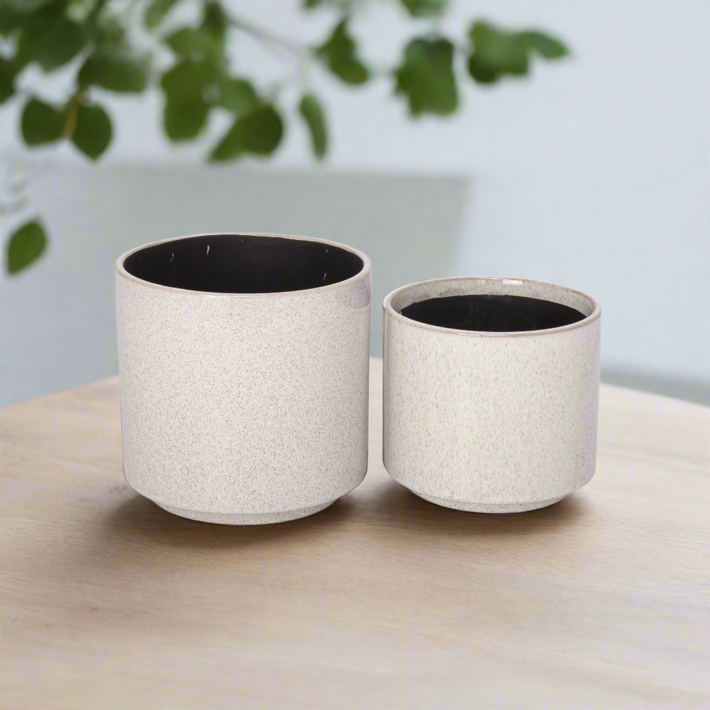 Ceyra White Stoneware Pot Set (Set of 2)