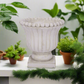 Etta Cement Urn Planter
