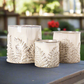 Floris Distressed Ivory Planter Set (Set of 3)